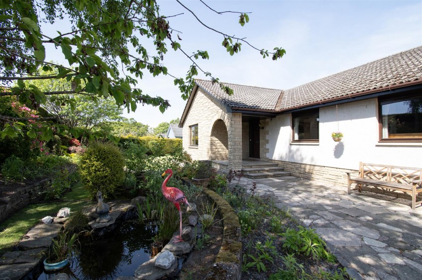 Images for Newtyle