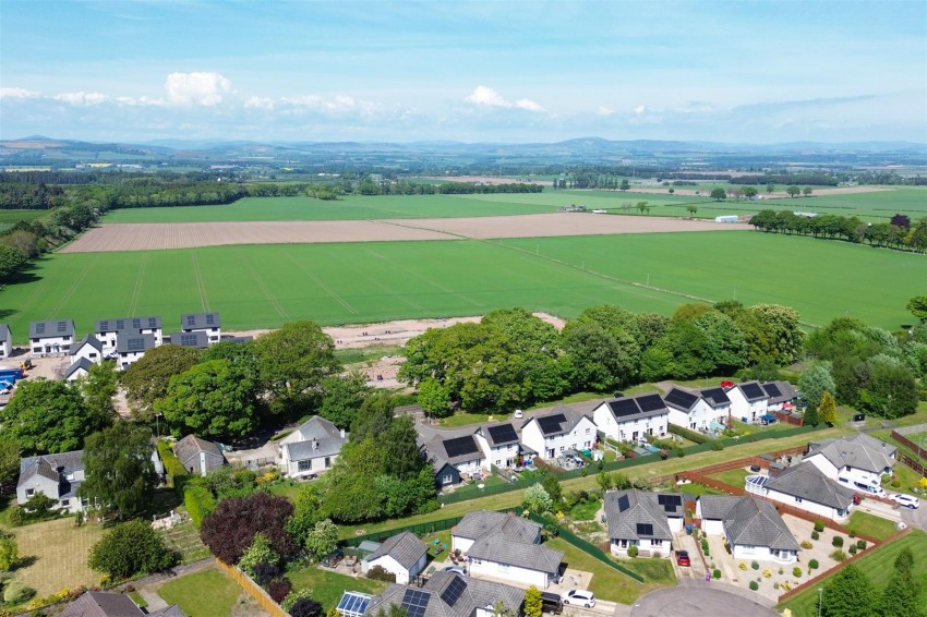 Images for Newtyle