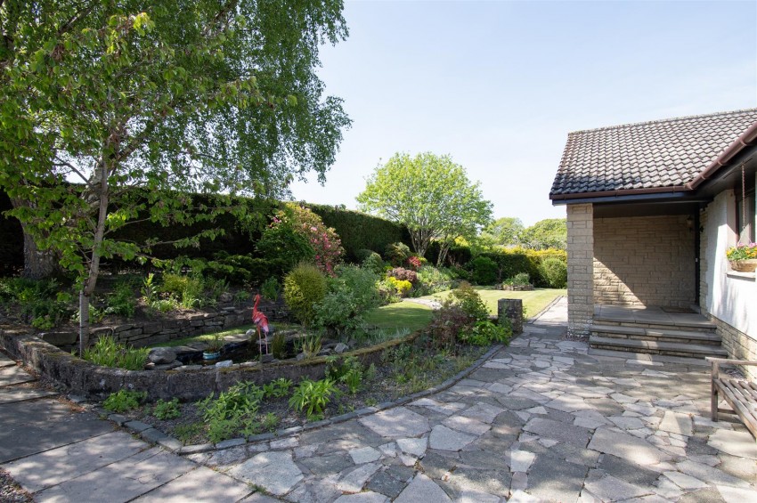 Images for Newtyle