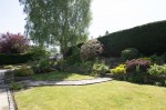 Images for Newtyle