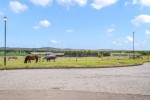 Images for Rosamunde Pilcher Drive, Longforgan