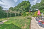 Images for Coralbank, Rattray