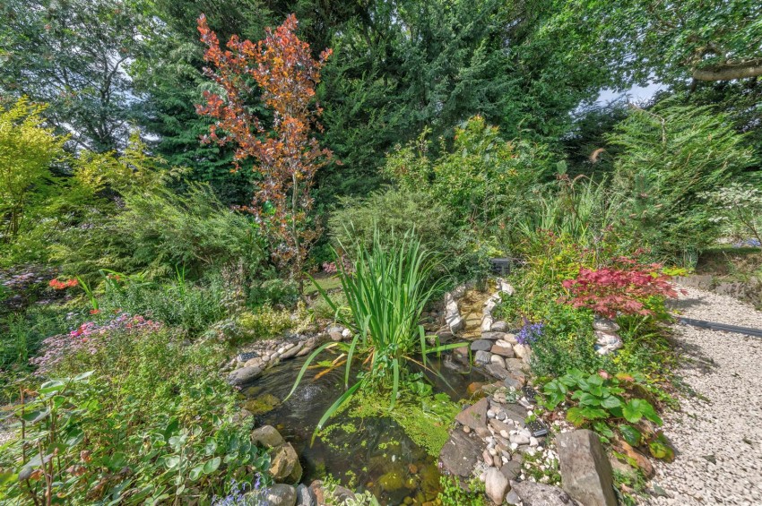 Images for Coralbank, Rattray