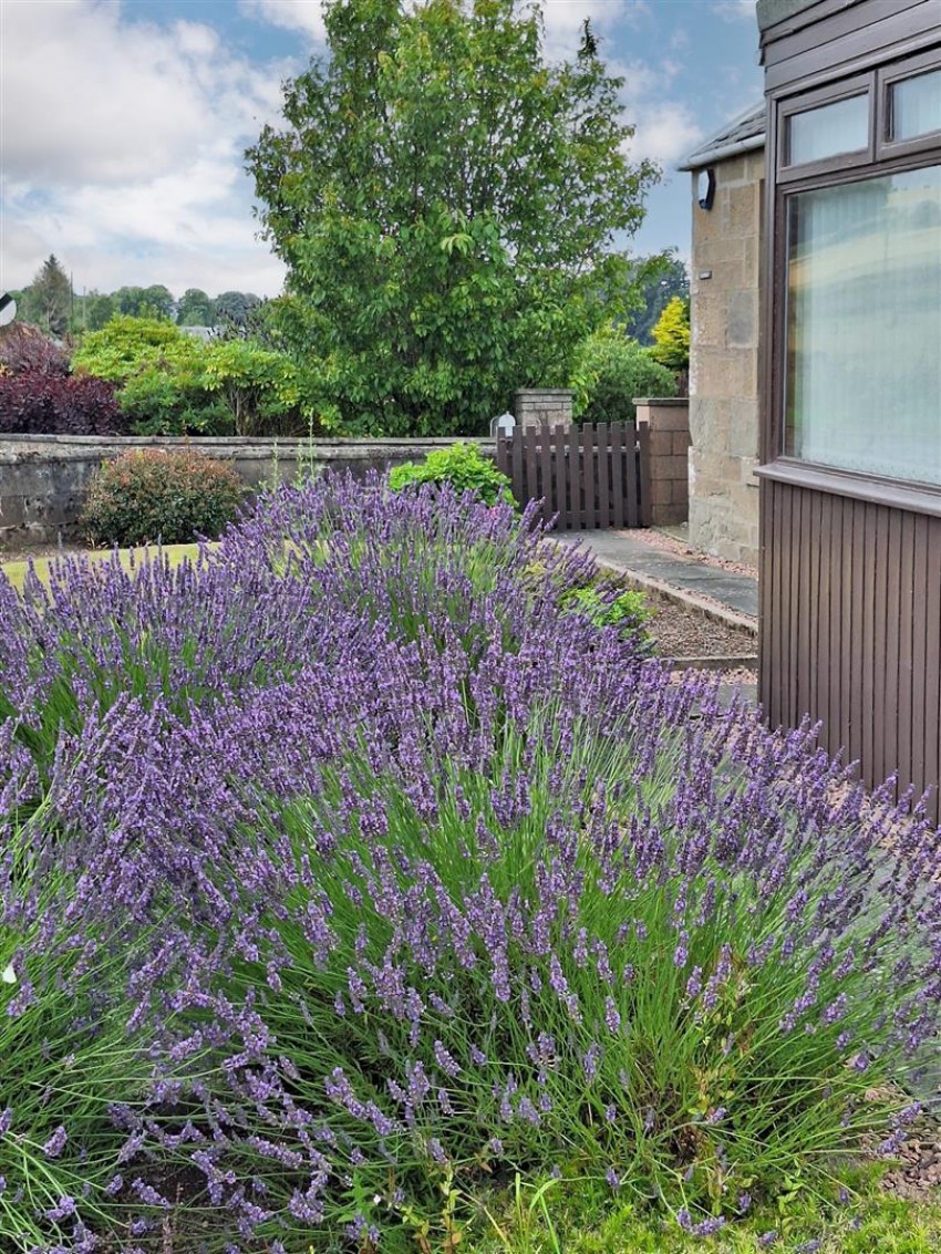 Images for Rosemill Road, Bridgefoot, Dundee