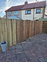 Images for Balunie Avenue, Dundee
