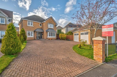 View Full Details for 20, St. Martin Drive, Dundee